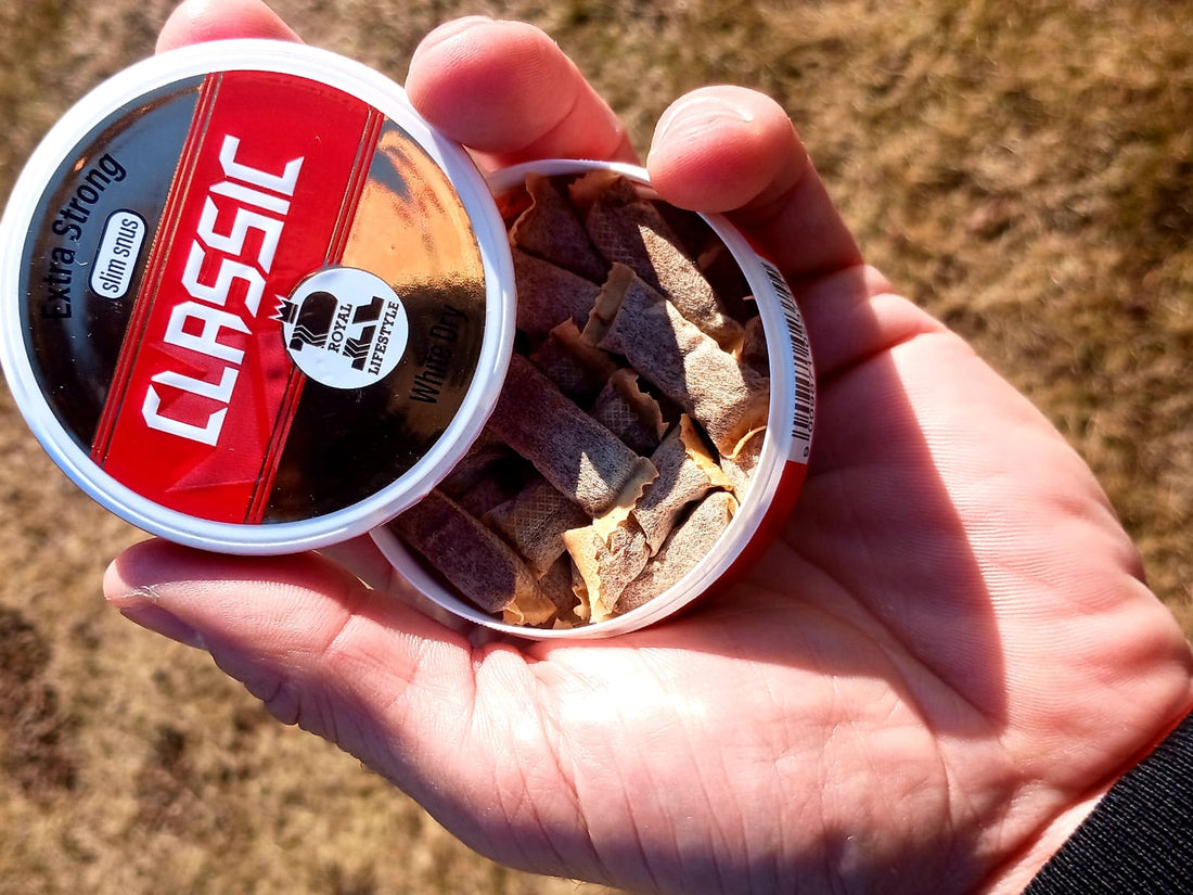 Der ultimative Guide zu Snus: Alles, was du wissen musst